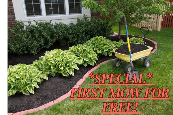 Fresh Cut-Lawn Services