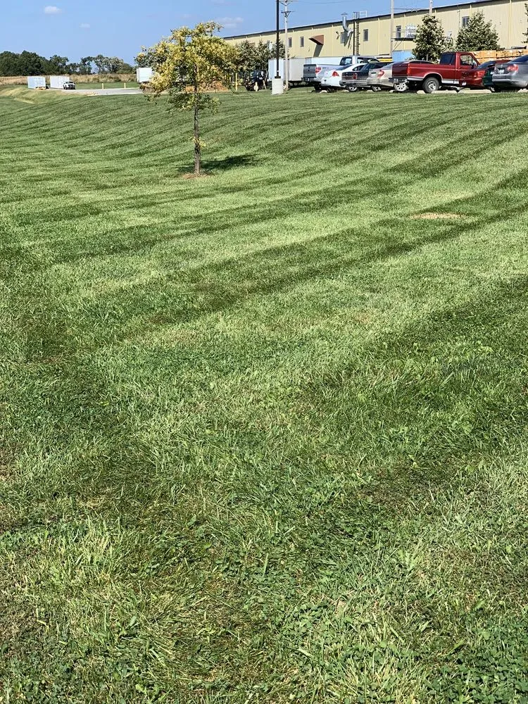 Reliable lawn mowing service experts serving Mexico, MO - Fresh Cut Lawn Services