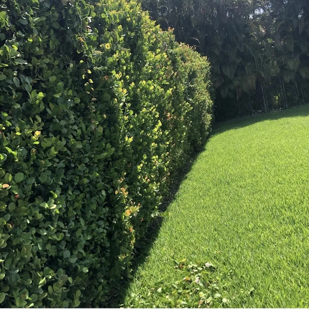 Trusted yard cleanup service experts serving Miramar, FL - Fresh Cut Lawn Services