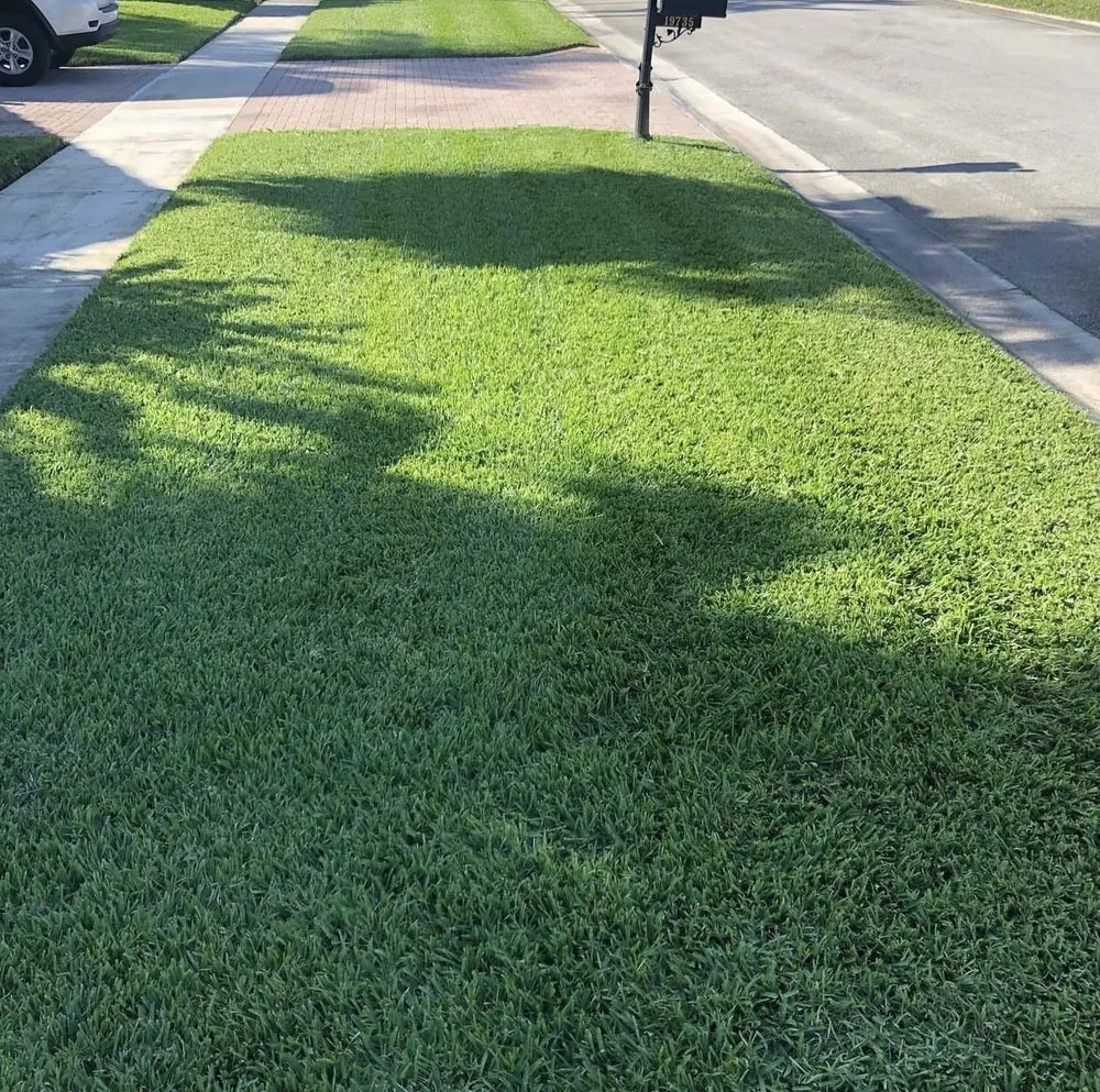 Reliable residential landscaping experts serving Miramar, FL - Fresh Cut Lawn Services