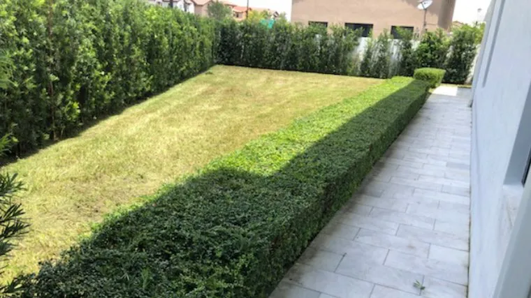 Expert lawn mowing service in Miramar, FL by Fresh Cut Lawn Services