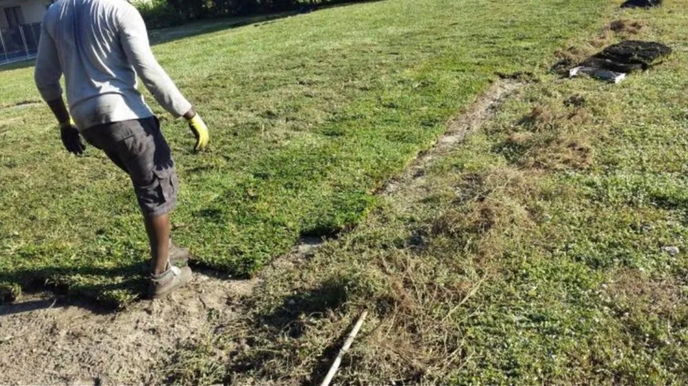 Professional landscape installation near you in Miramar, FL by Fresh Cut Lawn Services