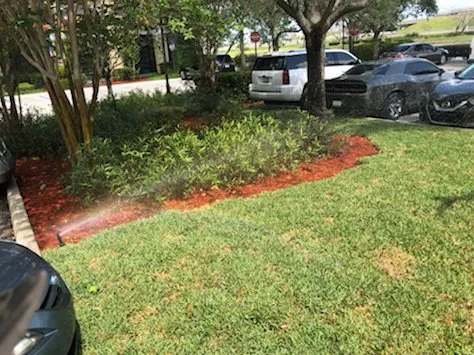 Expert yard maintenance in Miramar, FL - Fresh Cut Lawn Services