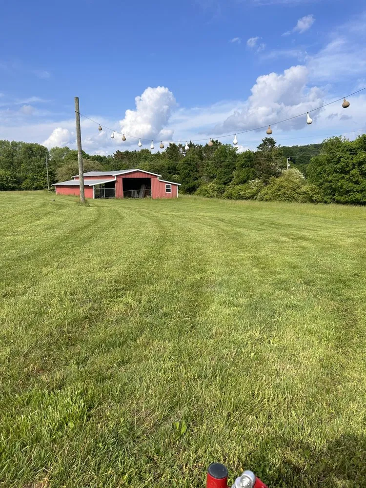 Trusted yard cleanup service for beautiful yards in Cleveland, TN by Fresh cut lawncare