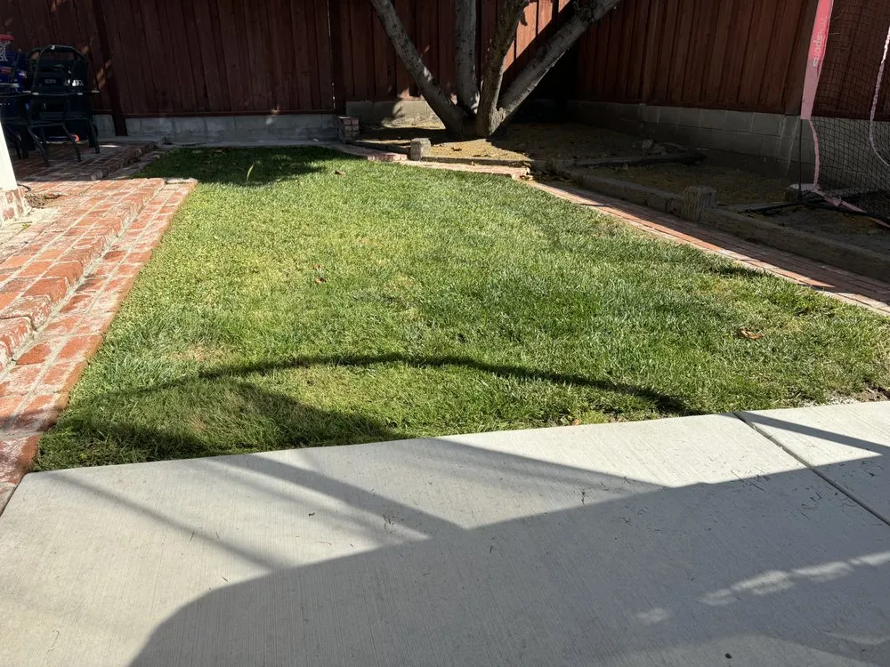 Affordable outdoor landscaping in Hayward, CA by Fresh Cut Lawns & Landscapes