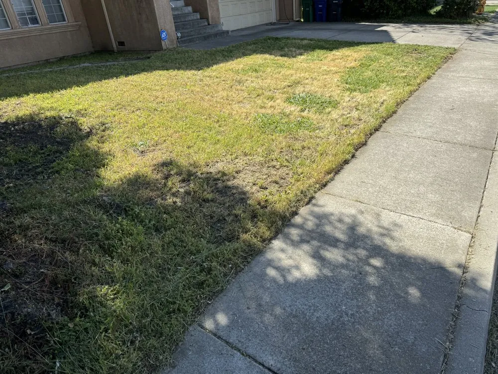 Professional garden landscaping in Hayward, CA by Fresh Cut Lawns & Landscapes