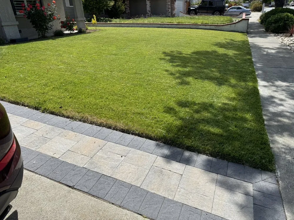 Top-rated residential landscaping in Hayward, CA by Fresh Cut Lawns & Landscapes