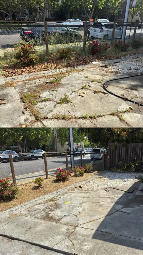 Custom outdoor landscaping in Hayward, CA by Fresh Cut Lawns & Landscapes