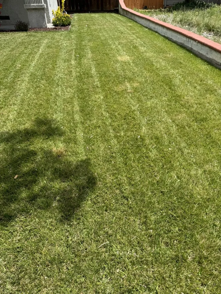 Reliable residential landscaping in Hayward, CA - Fresh Cut Lawns & Landscapes