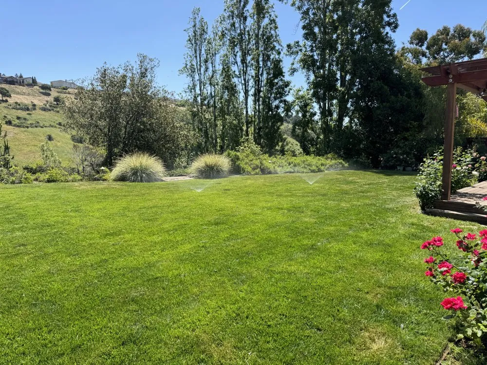 Custom outdoor landscaping in Hayward, CA by Fresh Cut Lawns & Landscapes