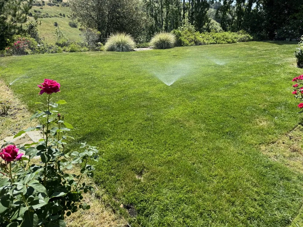 Top-rated landscape design with custom design across Hayward, CA - Fresh Cut Lawns & Landscapes