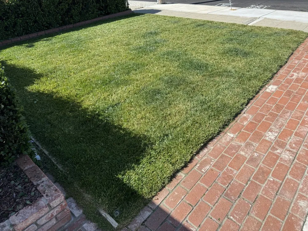 Professional landscape design experts serving Hayward, CA - Fresh Cut Lawns & Landscapes