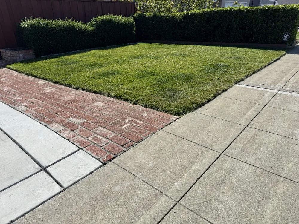 Expert landscape installation near you in Hayward, CA by Fresh Cut Lawns & Landscapes