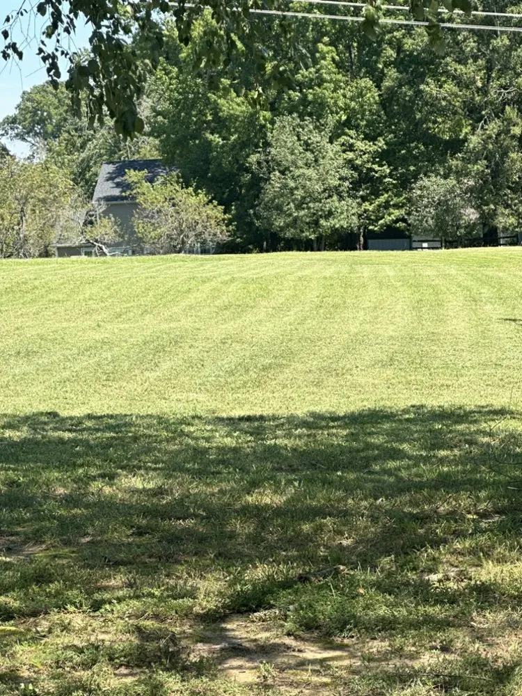 Reliable landscape installation near you across Charlotte, NC - Fresh Cut Lawns
