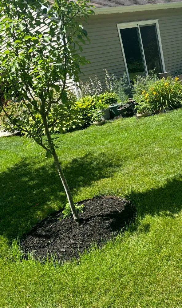 Custom residential landscaping experts serving Elkhart, IN - Fresh Cut Lawns