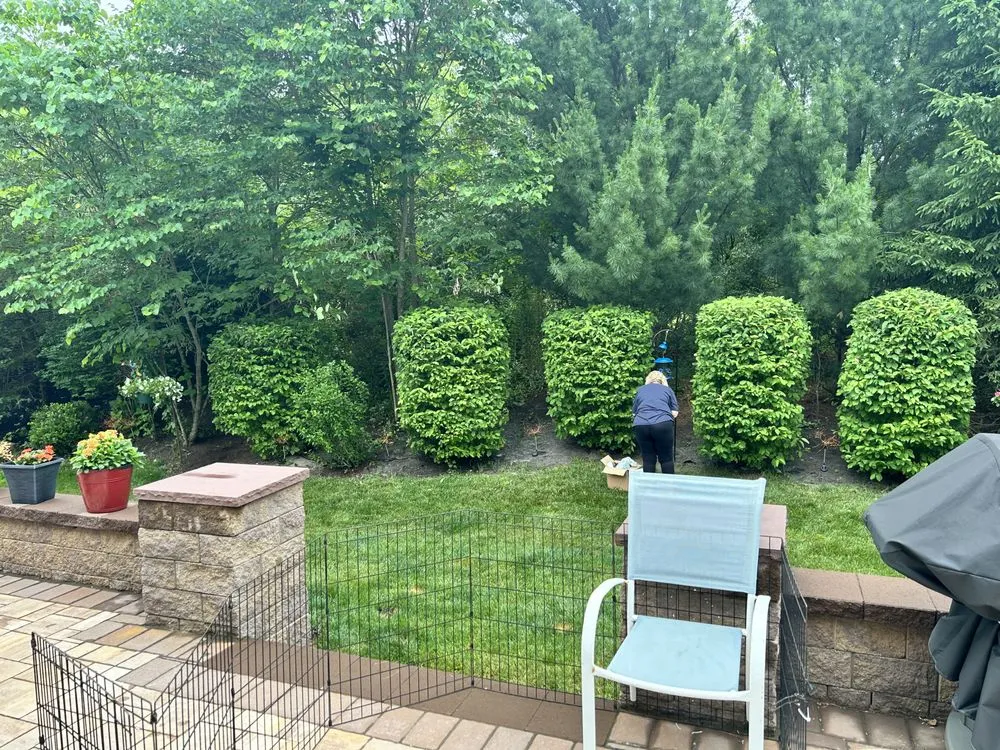 Expert residential landscaping in Freehold, NJ - Fresh Cut Lawns