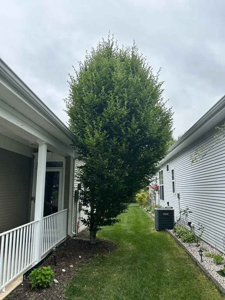 Reliable yard cleanup service for residential properties in Freehold, NJ by Fresh Cut Lawns