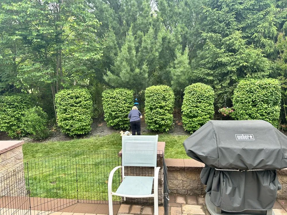 Expert outdoor landscaping for residential properties across Freehold, NJ - Fresh Cut Lawns
