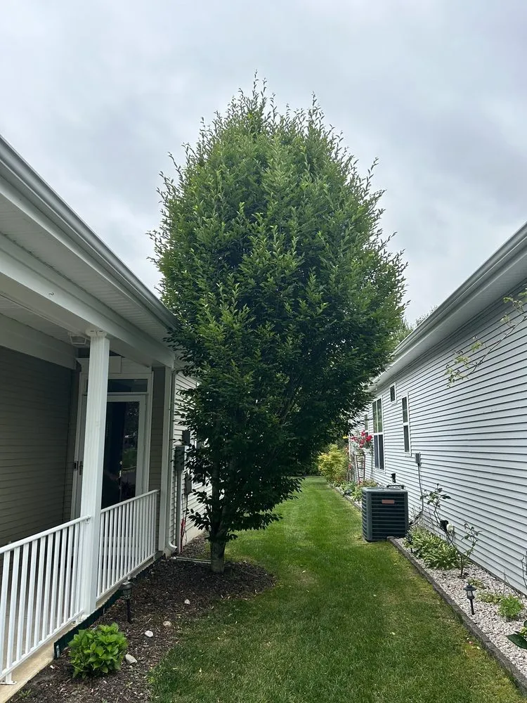 Custom residential landscaping near you in Freehold, NJ by Fresh Cut Lawns