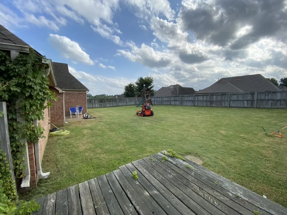 Top-rated landscaping services for homes across Arlington, TN - Fresh Cut Lawnscape