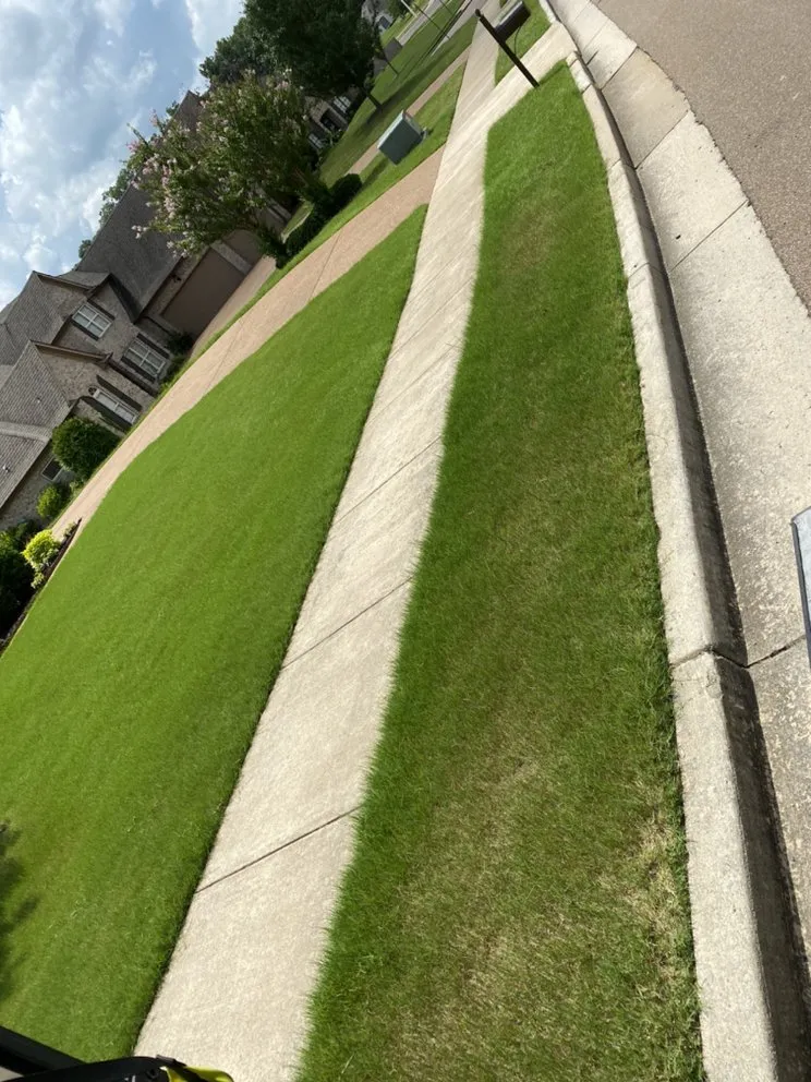 Professional yard cleanup service in Arlington, TN - Fresh Cut Lawnscape