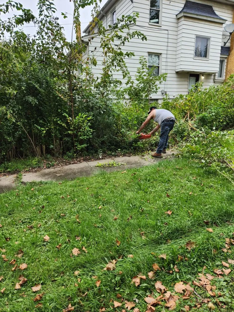 Professional yard cleanup service in Mineral Ridge, OH - Fresh Cut