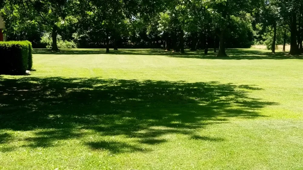 Reliable garden landscaping experts serving Campbell, MO - Fresh Cut Mowing Service