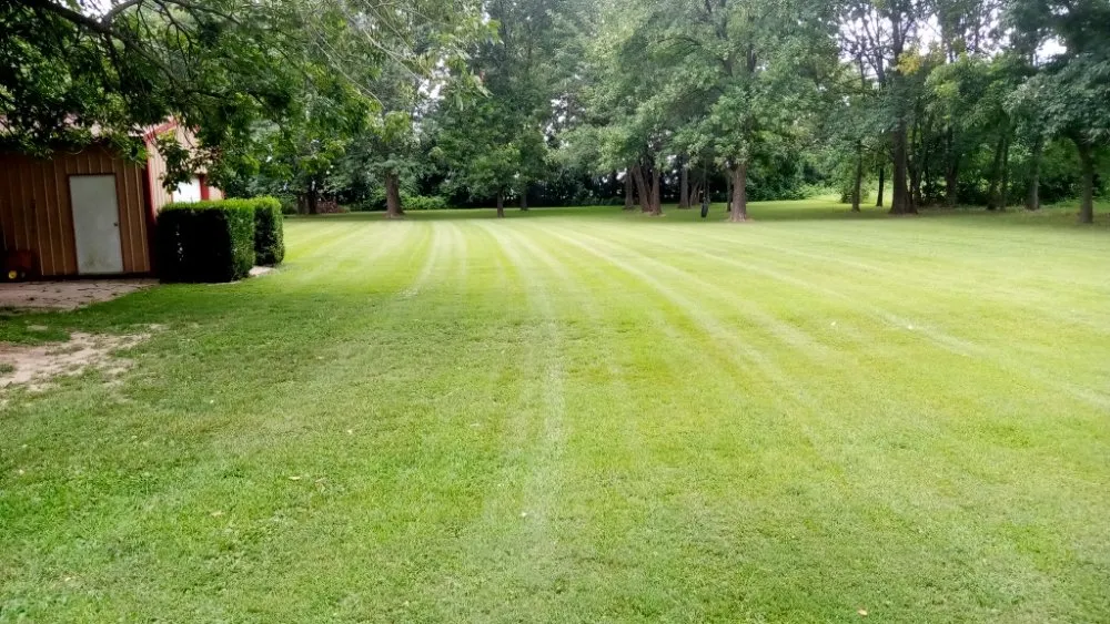 Local lawn care service in Campbell, MO - Fresh Cut Mowing Service