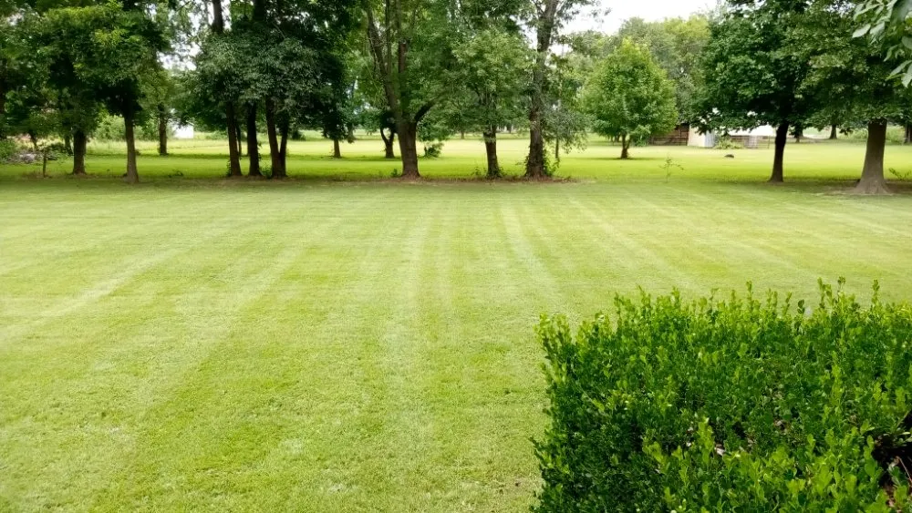 Affordable yard maintenance experts serving Campbell, MO - Fresh Cut Mowing Service