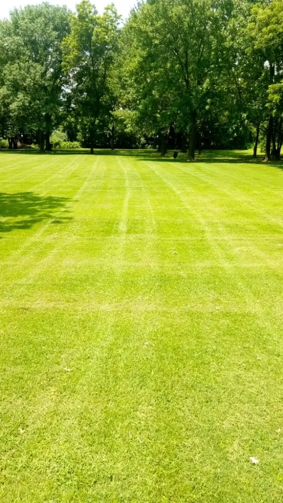 Custom landscaping services near you across Campbell, MO - Fresh Cut Mowing Service