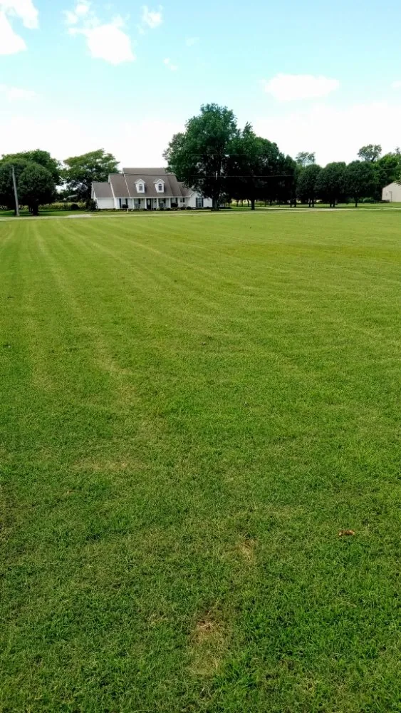 Top-rated lawn mowing service for beautiful yards in Campbell, MO by Fresh Cut Mowing Service