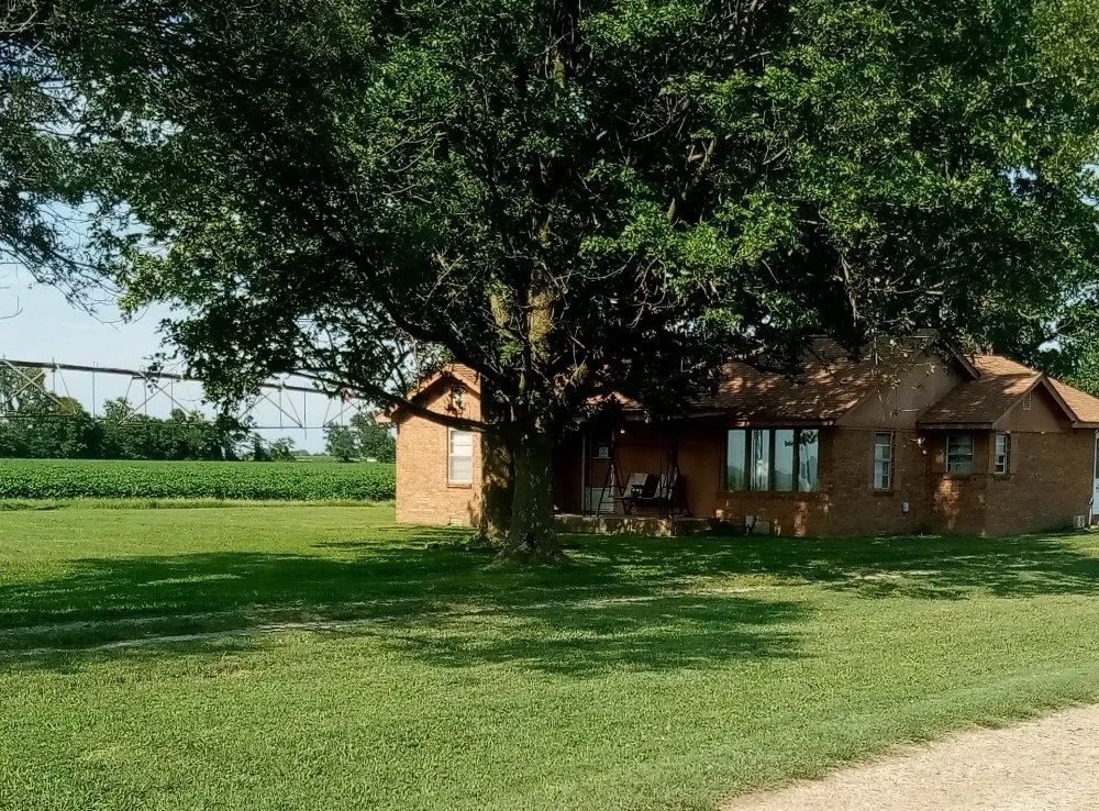 Local yard cleanup service near you in Campbell, MO by Fresh Cut Mowing Service