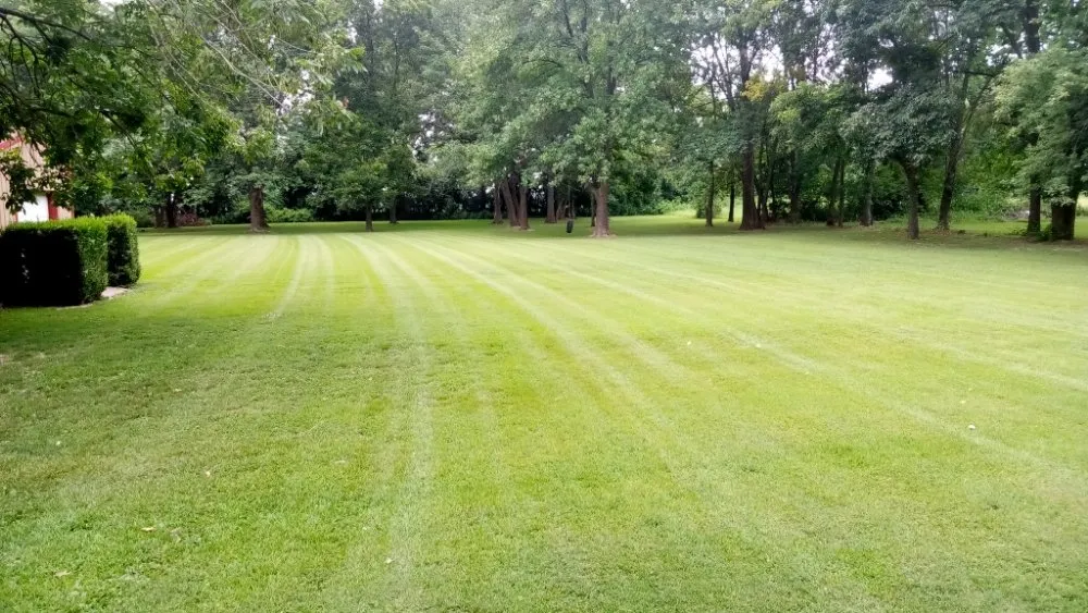 Local landscaping services experts serving Campbell, MO - Fresh Cut Mowing Service