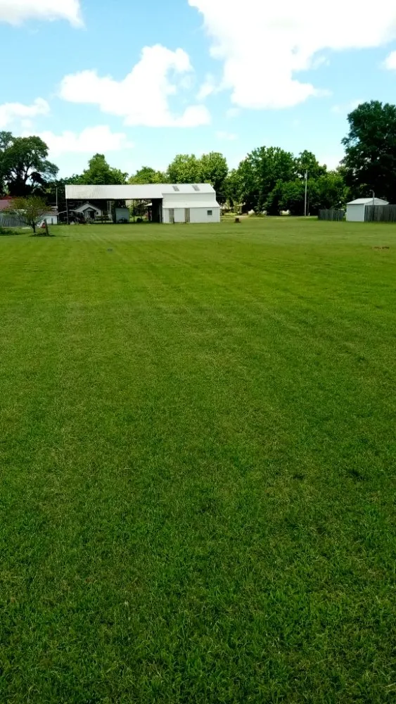 Top-rated landscape installation in Campbell, MO - Fresh Cut Mowing Service