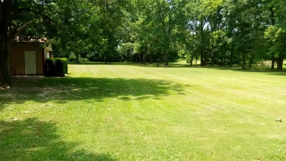 Reliable yard cleanup service experts serving Campbell, MO - Fresh Cut Mowing Service