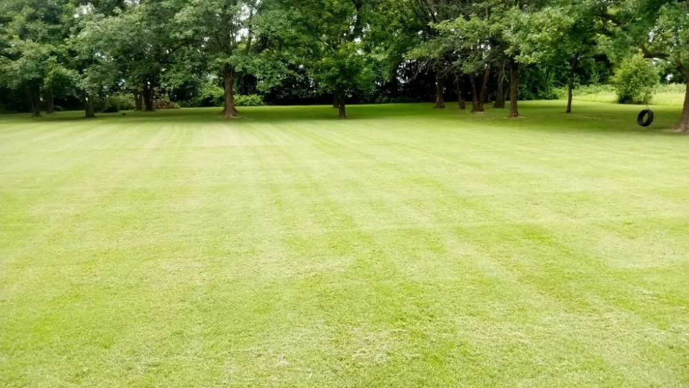 Top-rated lawn mowing service for homes in Campbell, MO by Fresh Cut Mowing Service