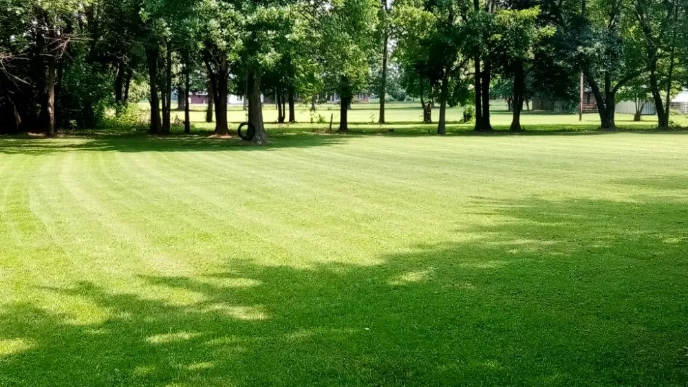 Reliable yard maintenance in Campbell, MO by Fresh Cut Mowing Service