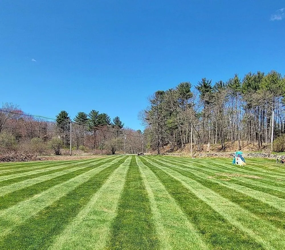 Affordable yard cleanup service for homes in Belleville, NY by Fresh Cut Property Services