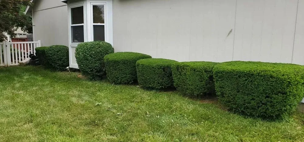 Local garden landscaping experts serving Florissant, MO - Fresh Cut Quality Lawn Care