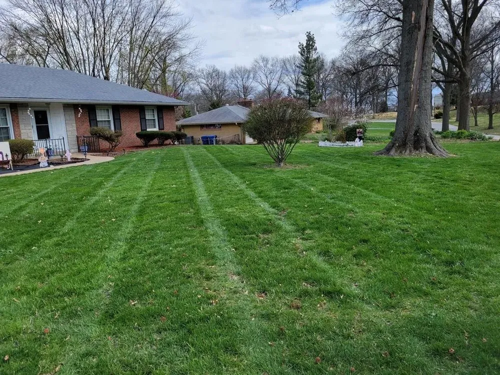 Professional landscaping services in Florissant, MO - Fresh Cut Quality Lawn Care