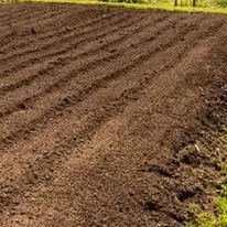 Top-rated yard maintenance in Moulton, AL - Fresh Cut Services