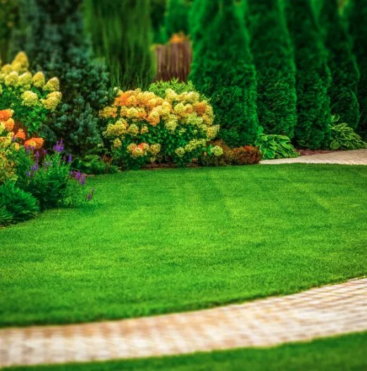 Expert lawn mowing service for residential properties across Wheeling, WV - Fresh Cuts & More