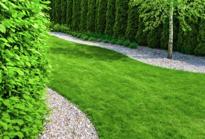 Affordable lawn mowing service for outdoor upgrades in Wheeling, WV by Fresh Cuts & More
