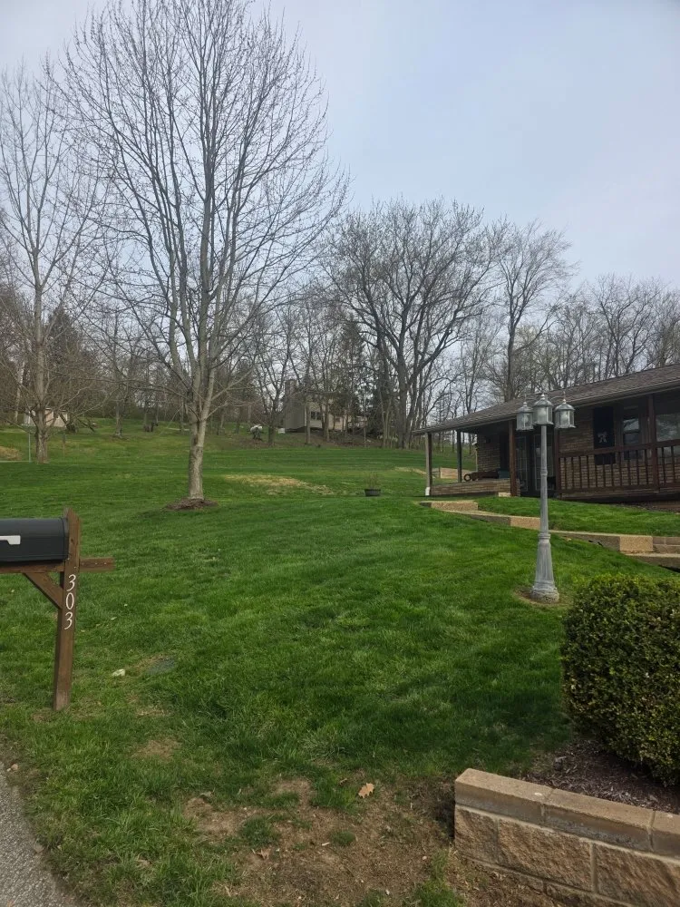 Top-rated yard cleanup service with custom design across Wheeling, WV - Fresh Cuts & More