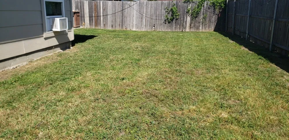 Professional yard maintenance for beautiful yards across Forest Hill, TX - Fresh Cuts