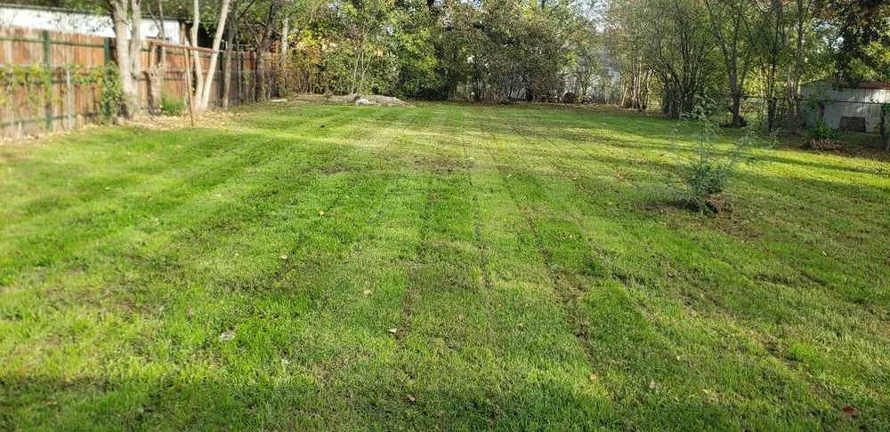 Reliable landscape installation for year-round maintenance across Forest Hill, TX - Fresh Cuts