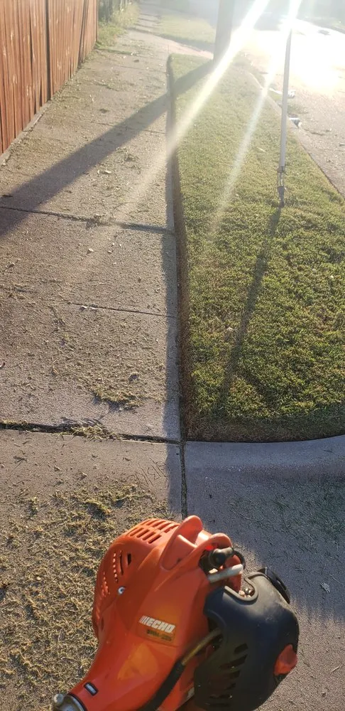 Affordable landscape design in Forest Hill, TX - Fresh Cuts