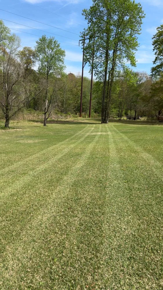 Custom landscaping services with custom design across Goldsboro, NC - Fresh Cuts