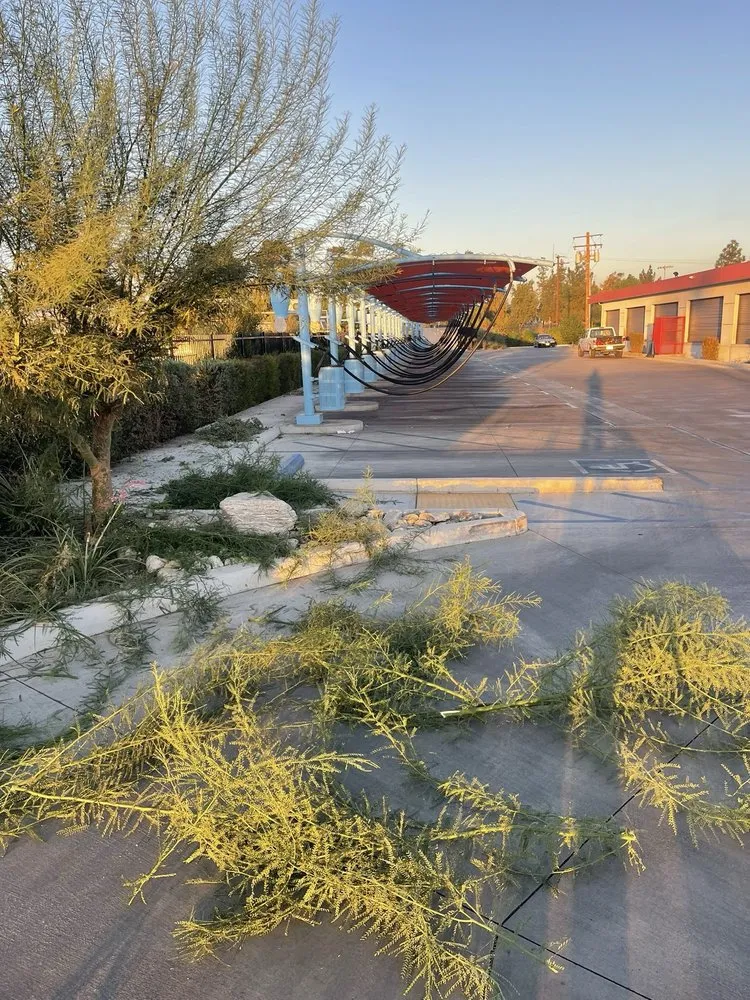 Reliable lawn care service for outdoor upgrades across Rialto, CA - Fresh Cuts Landscape