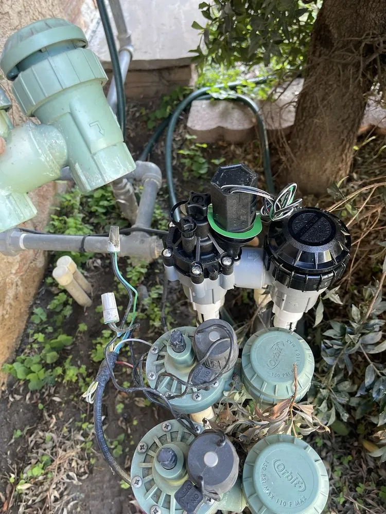 Affordable outdoor landscaping experts serving Rialto, CA - Fresh Cuts Landscape